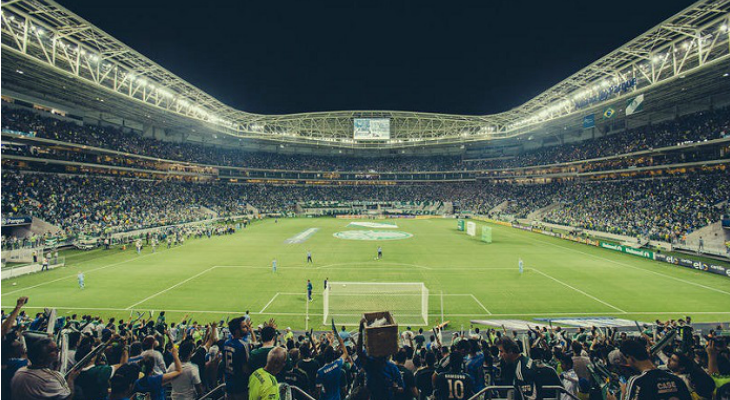  Palmeiras não tem tido um ano bom em campo, mas fora de campo tem chovido verdinhas!